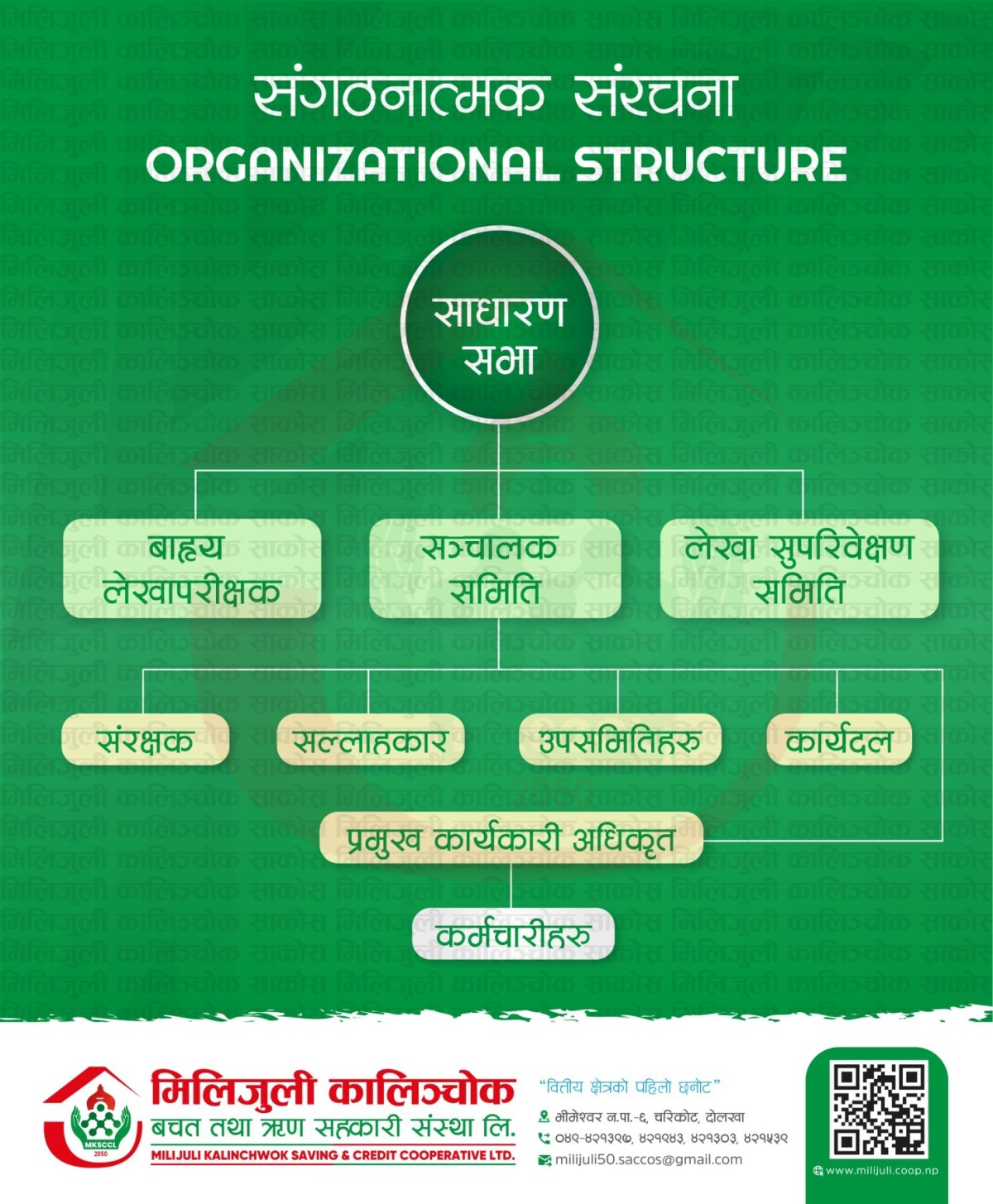 Organization Structure Chart of Milijuli Kalinchok Saving & Credit Cooperative Ltd
